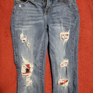 Judy Blue Skinny Jeans